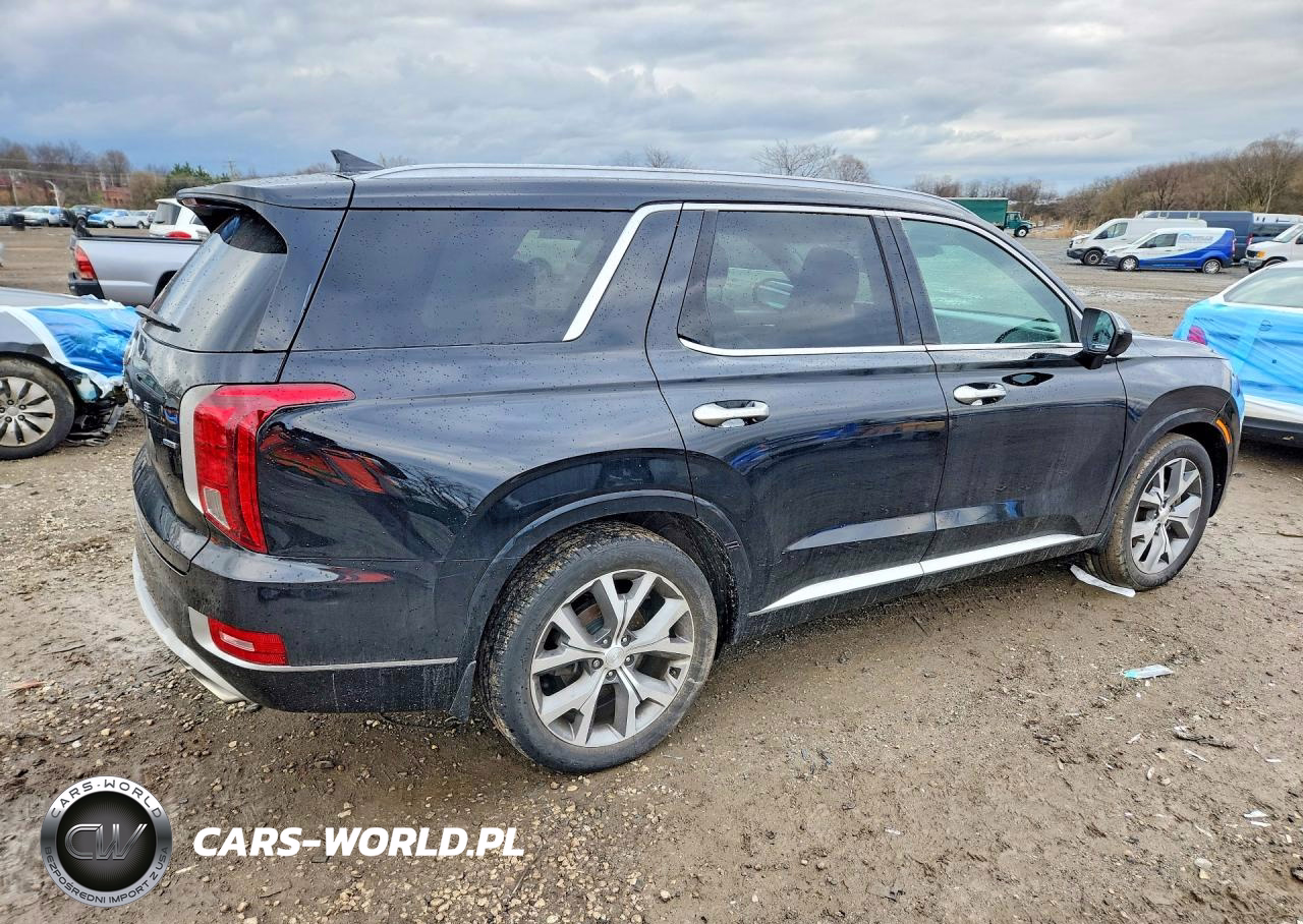 2022 Hyundai Palisade Limited VIN:KM8R5DHE7NU463880 - 3