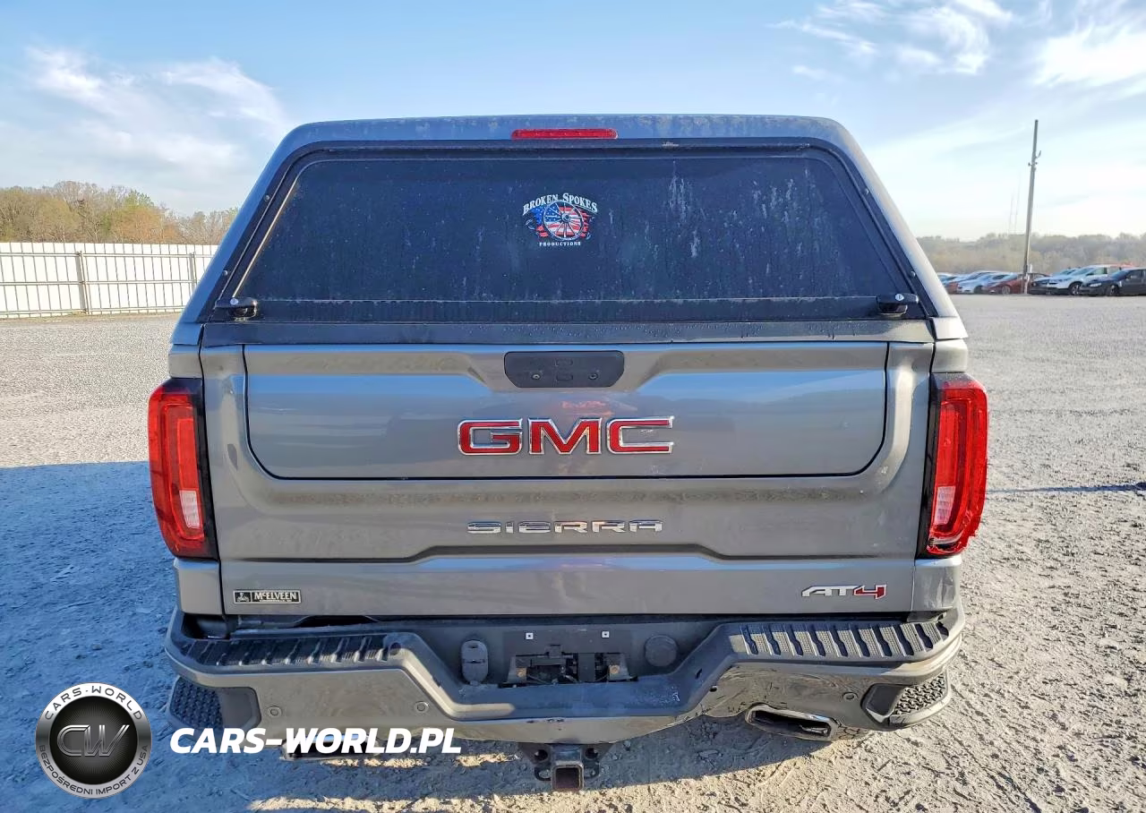 2020 GMC Sierra K1500 At4 VIN:1GTP9EED6LZ183188 - 6