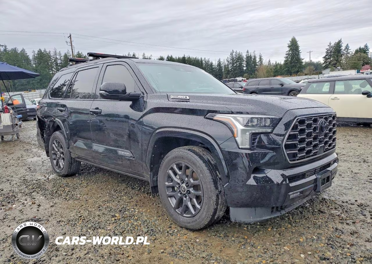 2024 Toyota Sequoia Platinum VIN:7SVAAABA6RX028151 - 4