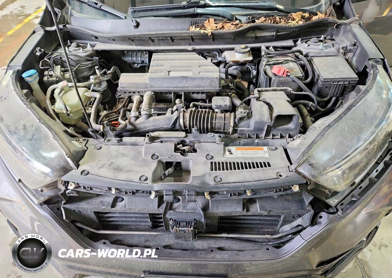 2019 Honda Cr-V Exl VIN:5J6RW2H89KL031707 - 12
