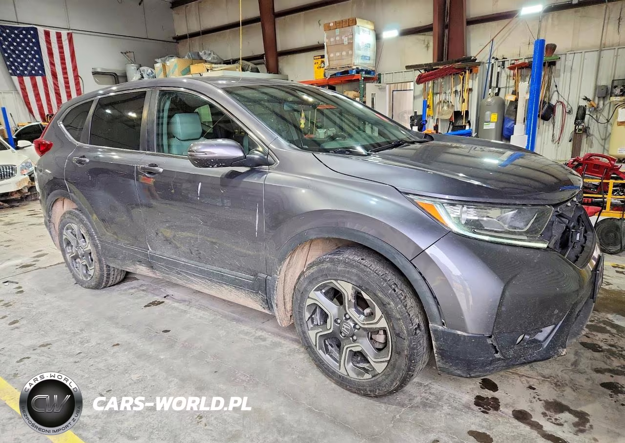 2019 Honda Cr-V Exl VIN:5J6RW2H89KL031707 - 4