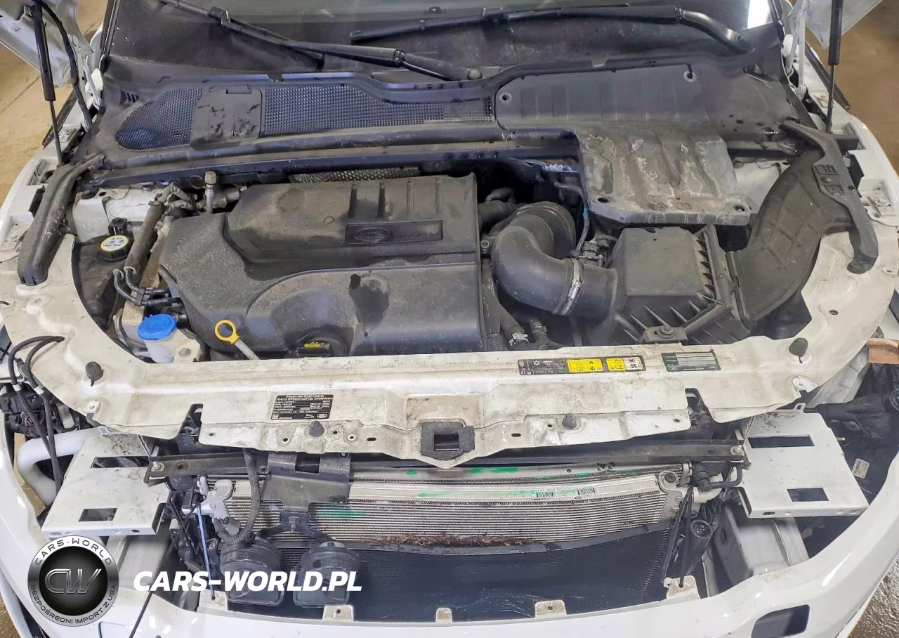 2019 Land Rover Range Rover Evoque Se VIN:SALVP2RXXKH346437 - 11