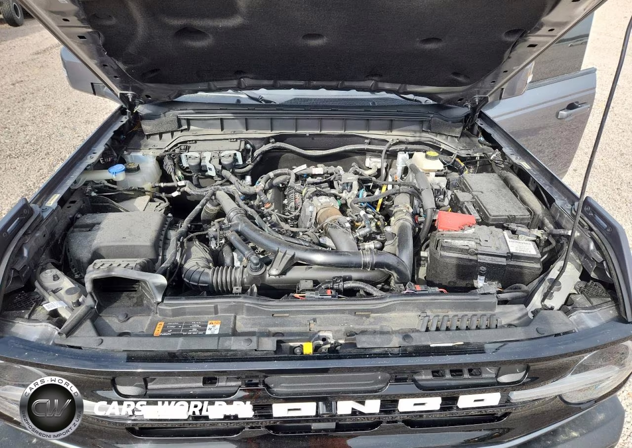 2023 Ford Bronco Base VIN:1FMEE5BP9PLB89976 - 11