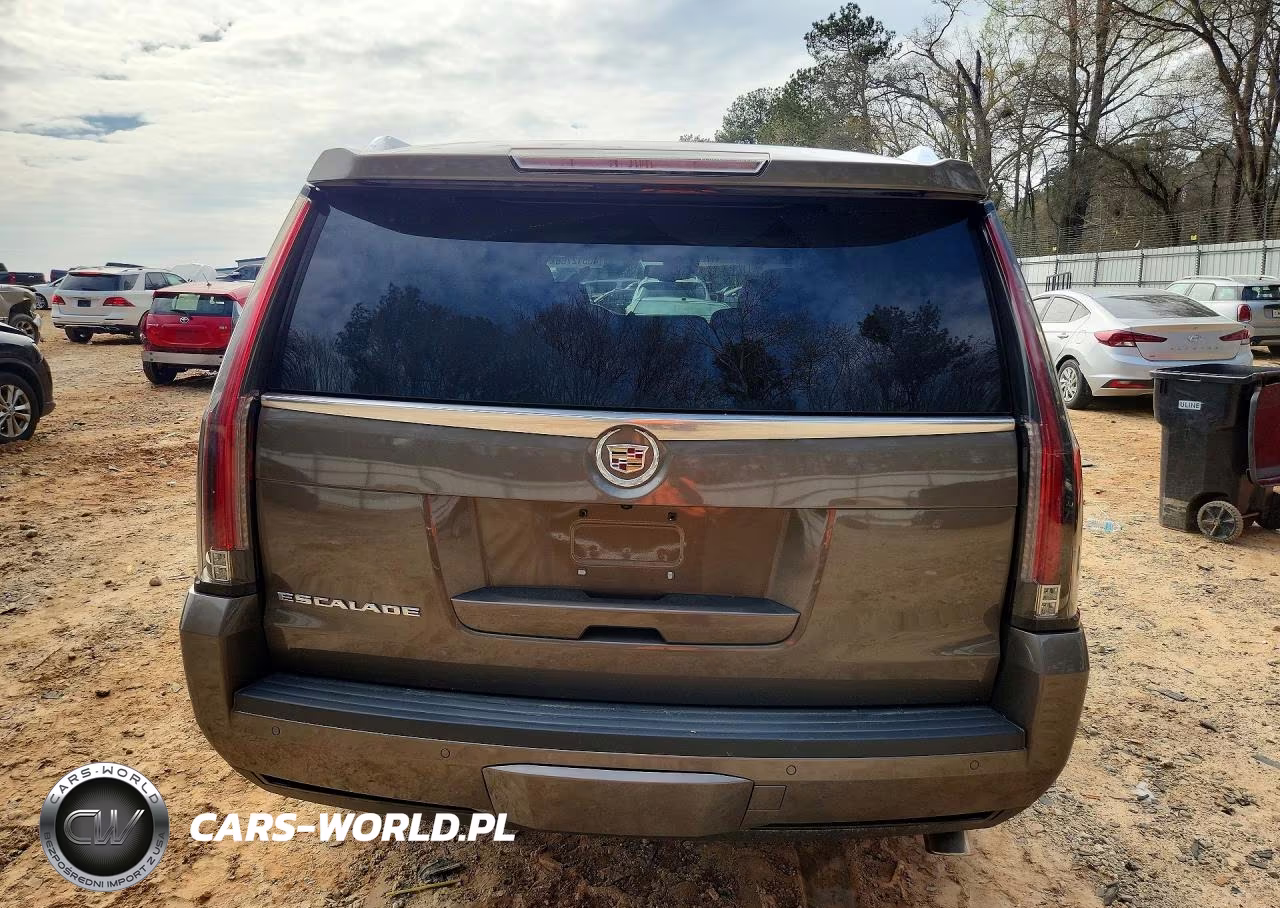 2016 Cadillac Escalade Premium VIN:1GYS3CKJ2GR248869 - 6