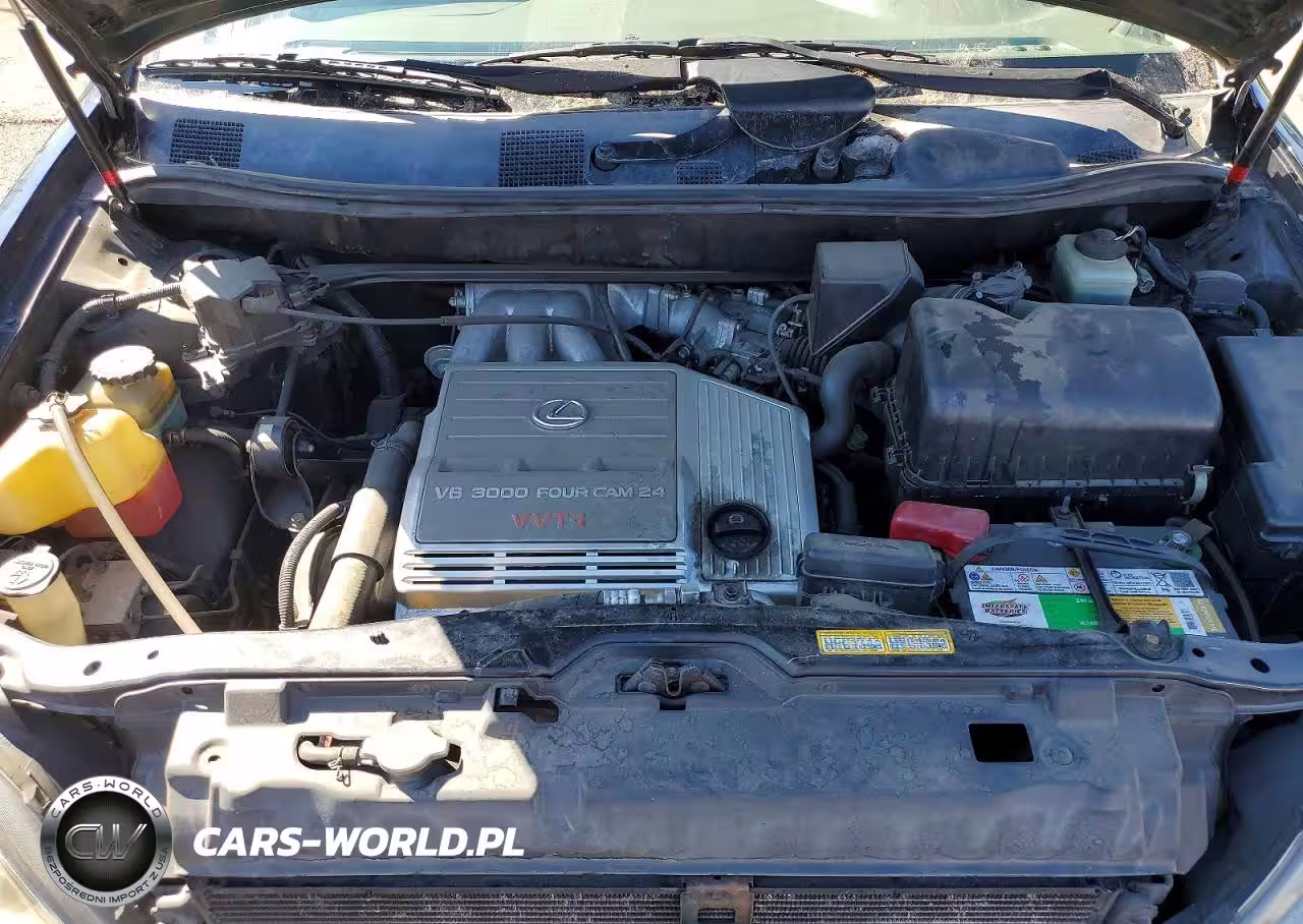 1999 Lexus Rx 300 Base VIN:JT6HF10U3X0043856 - 12
