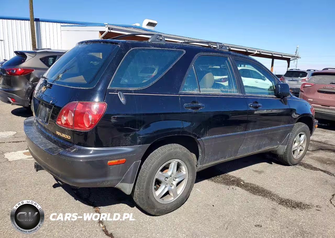 1999 Lexus Rx 300 Base VIN:JT6HF10U3X0043856 - 3
