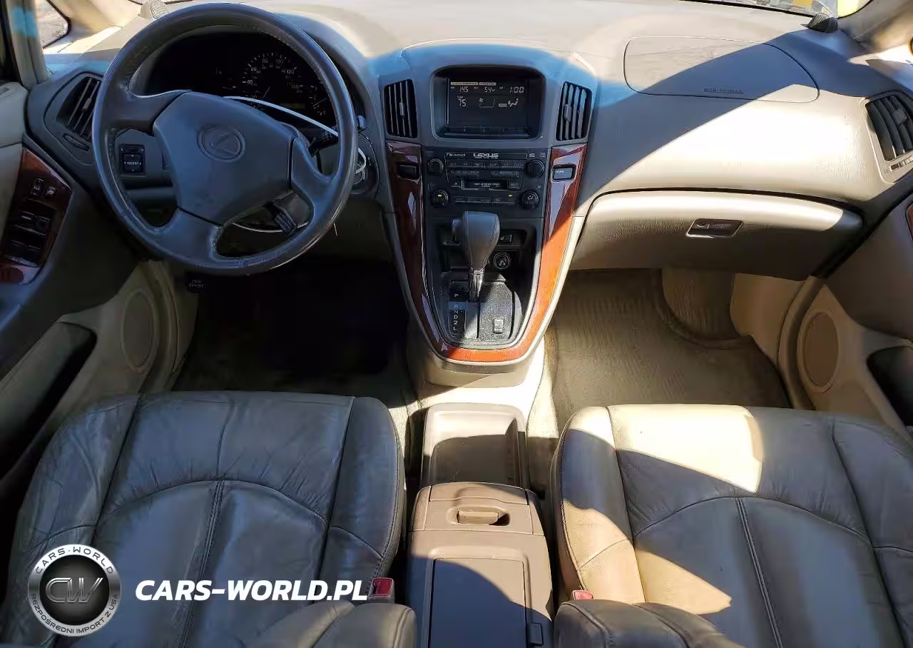 1999 Lexus Rx 300 Base VIN:JT6HF10U3X0043856 - 8