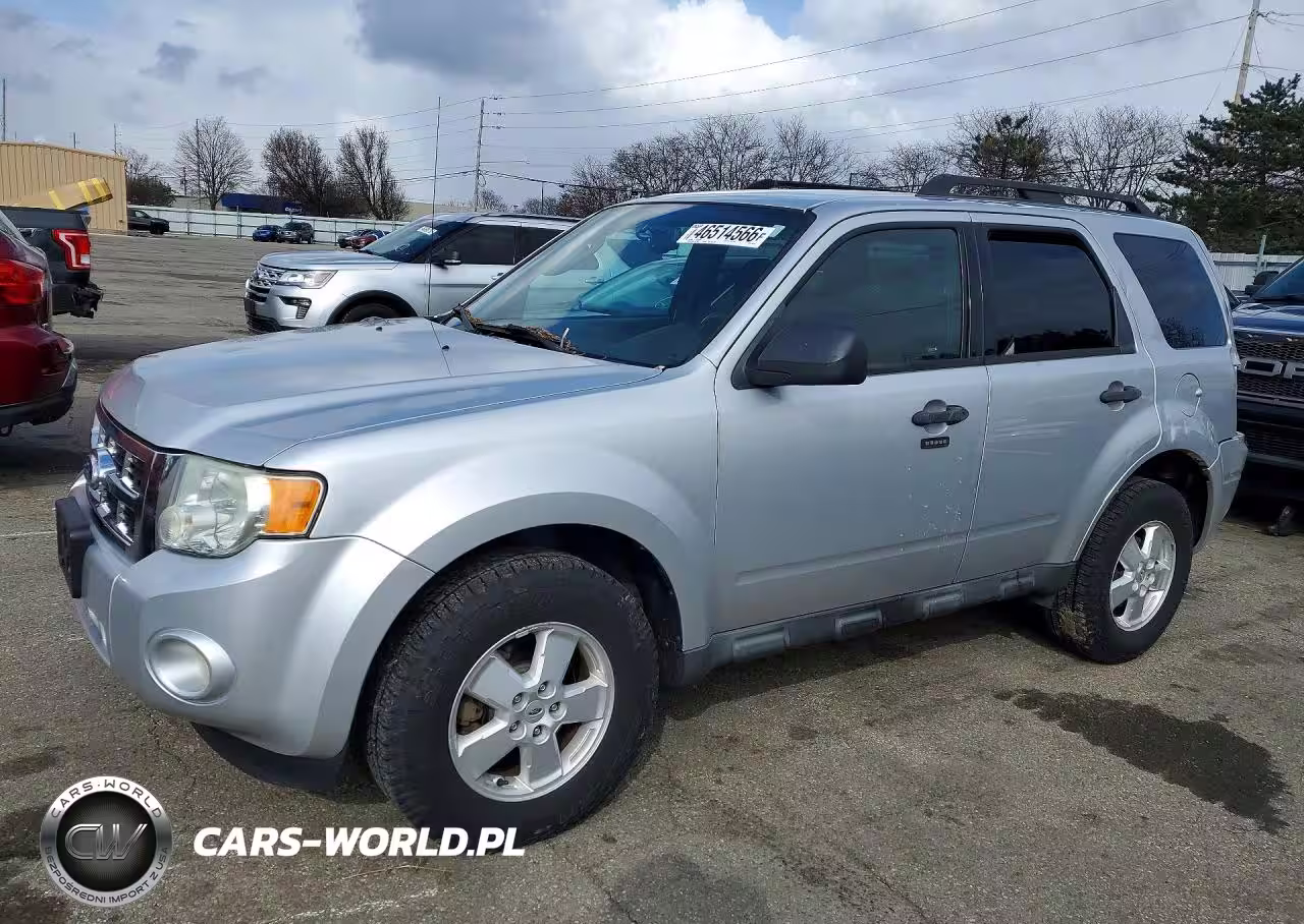 2010 Ford Escape Xlt