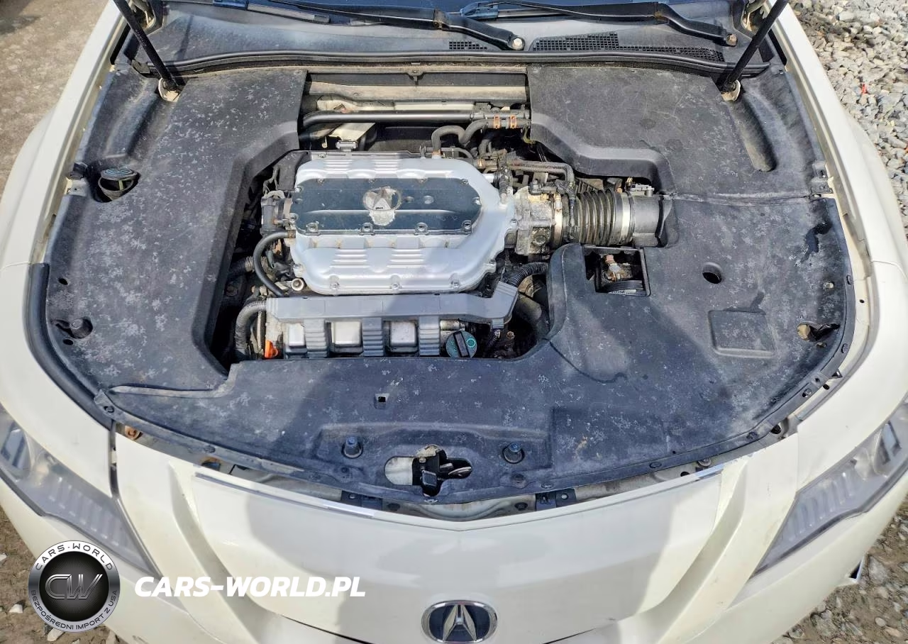 2010 Acura Tl VIN:19UUA9F56AA004766 - 11