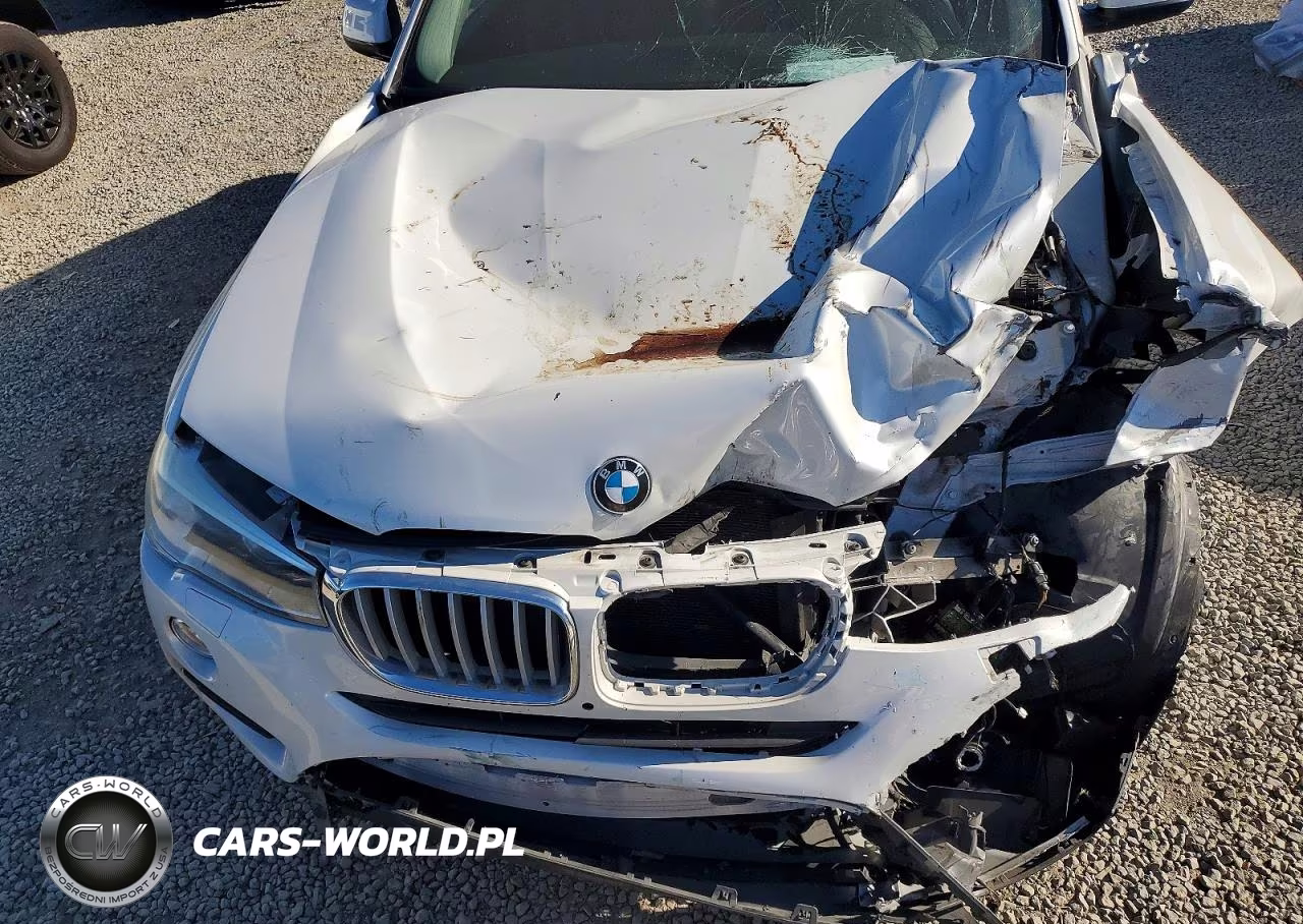 2016 BMW X4 xDrive28I VIN:5UXXW3C52G0R20498 - 12
