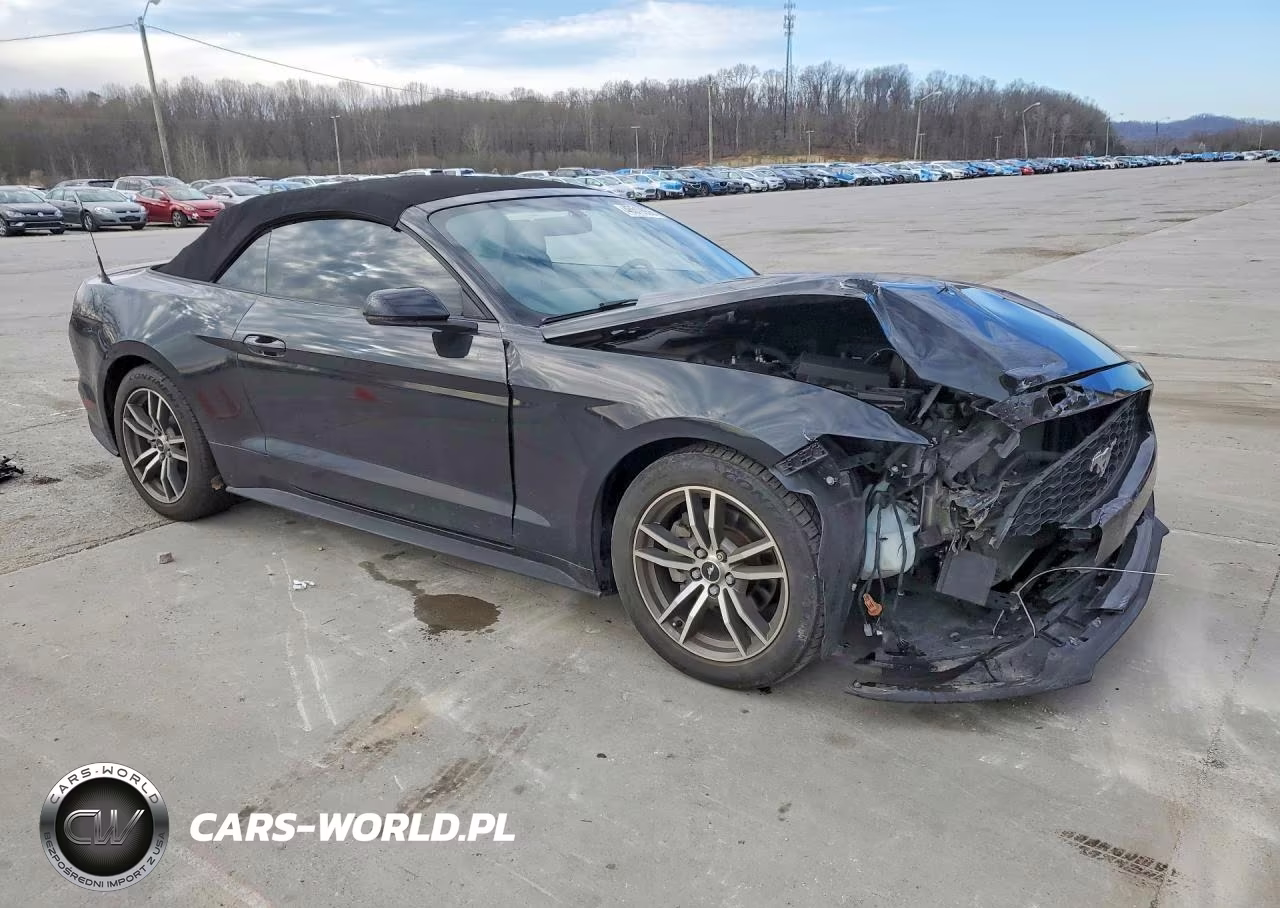 2017 Ford Mustang VIN:1FATP8UH2H5245099 - 4