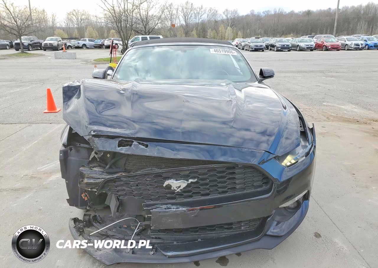 2017 Ford Mustang VIN:1FATP8UH2H5245099 - 5