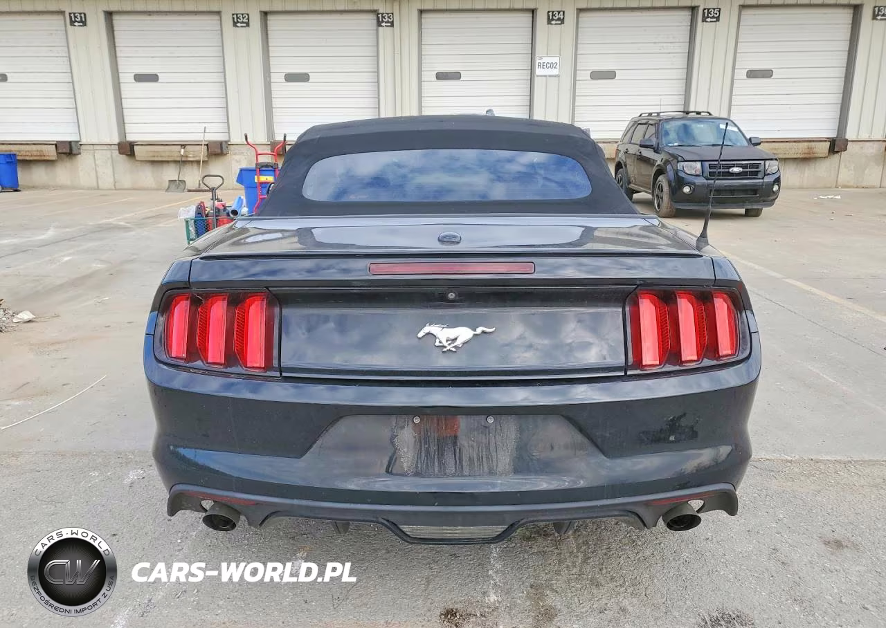 2017 Ford Mustang VIN:1FATP8UH2H5245099 - 6