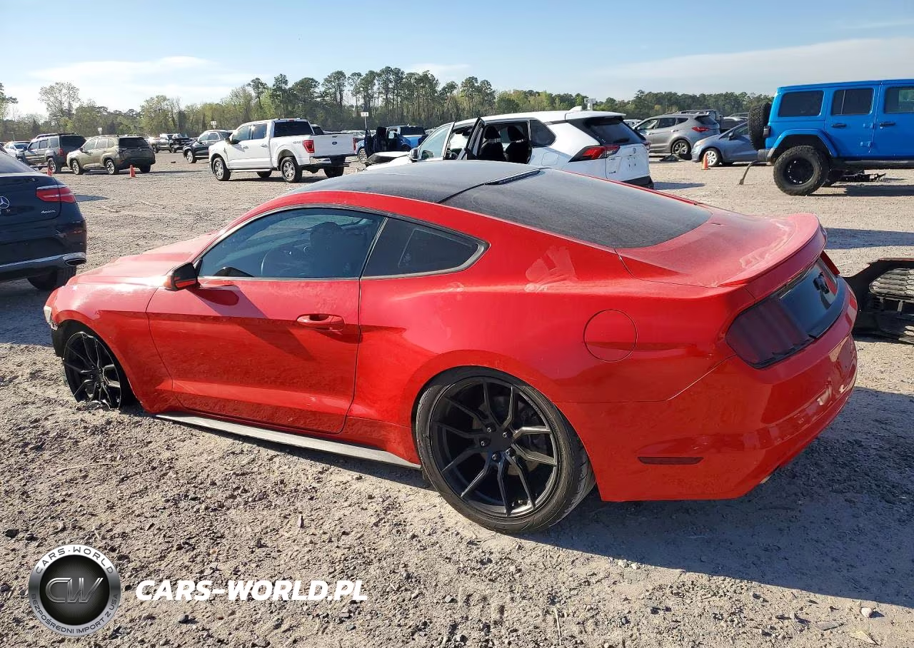 2017 Ford Mustang VIN:1FA6P8TH3H5213258 - 2