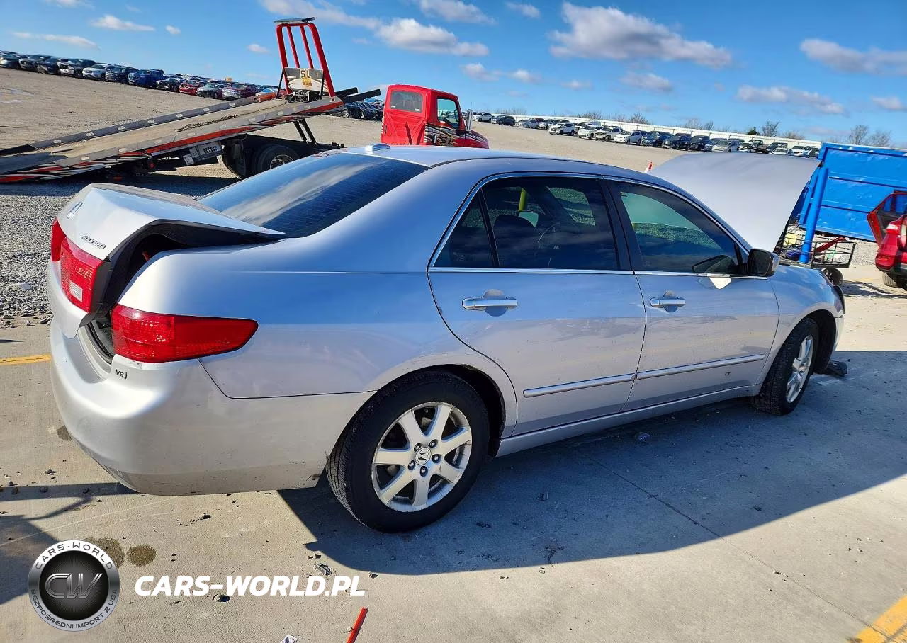 2005 Honda Accord Ex VIN:1HGCM66505A006293 - 3