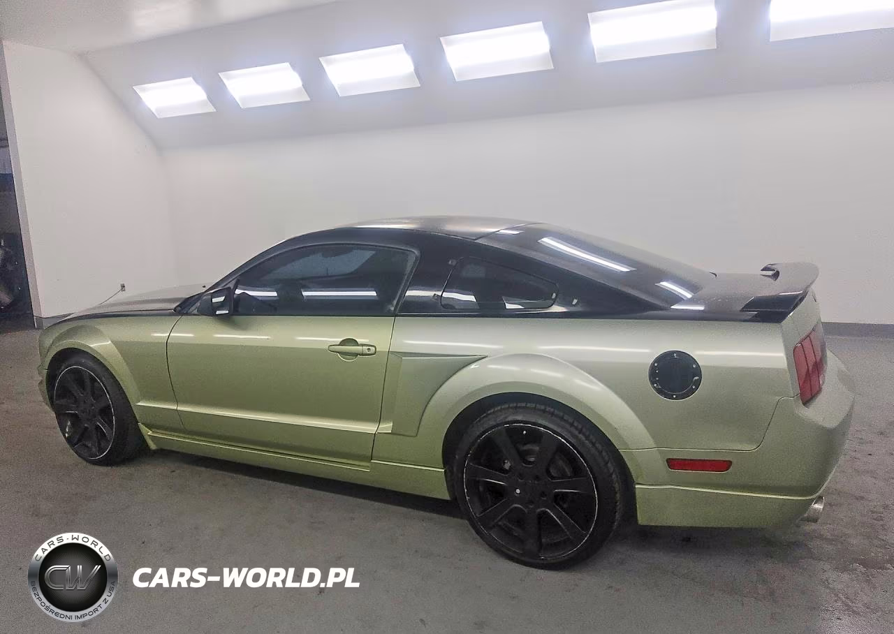 2005 Ford Mustang VIN:1ZVFT80N655196609 - 2