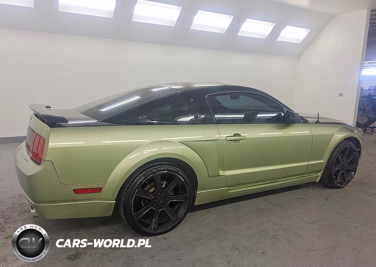 2005 Ford Mustang VIN:1ZVFT80N655196609 - 3
