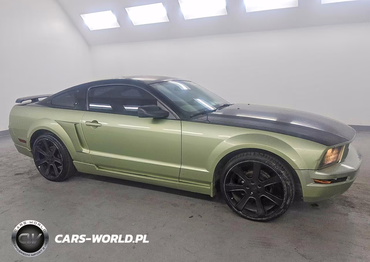 2005 Ford Mustang VIN:1ZVFT80N655196609 - 4