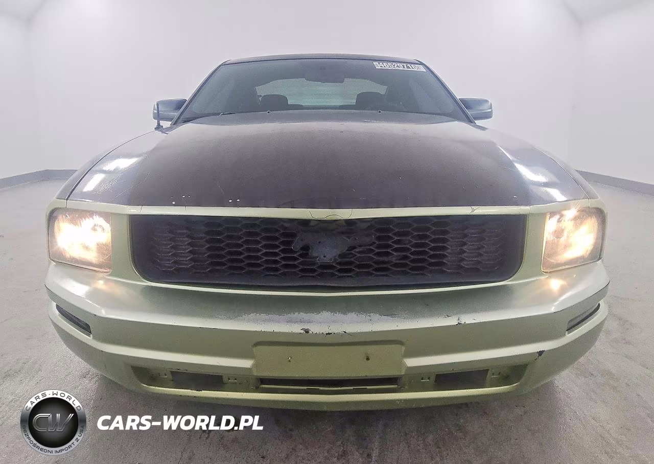 2005 Ford Mustang VIN:1ZVFT80N655196609 - 5