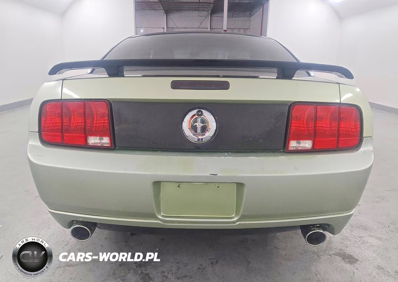 2005 Ford Mustang VIN:1ZVFT80N655196609 - 6