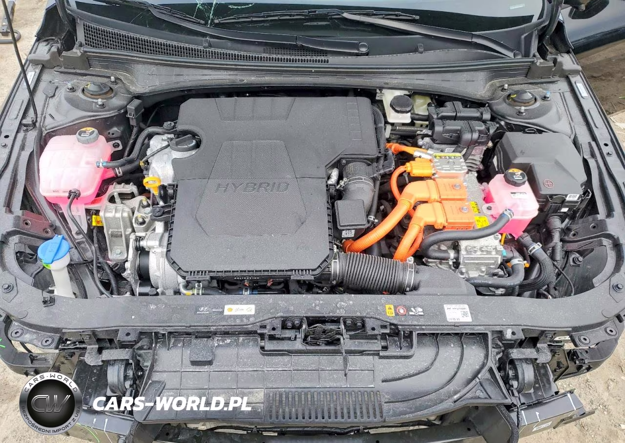 2026 Hyundai Elantra Hybrid Sel Sport VIN:KMHLM4DJ2TU184412 - 11