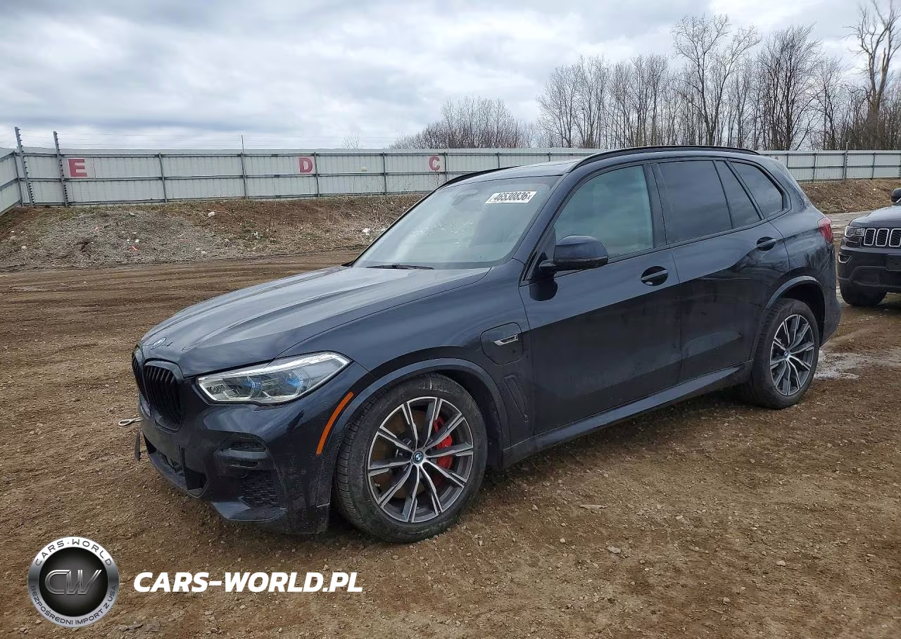 2023 BMW X5 VIN:5UXTA6C06P9P23123 - 1