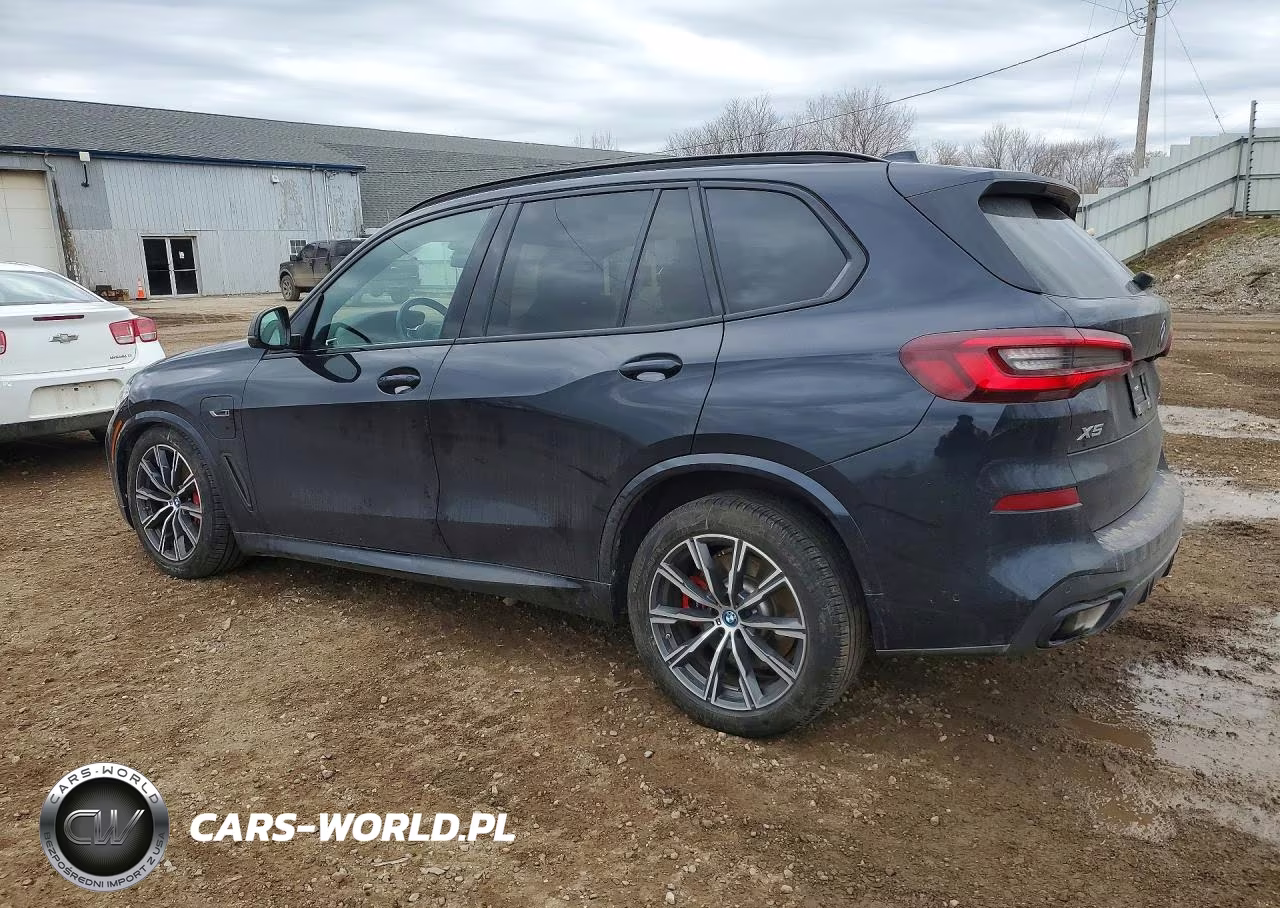 2023 BMW X5 VIN:5UXTA6C06P9P23123 - 2