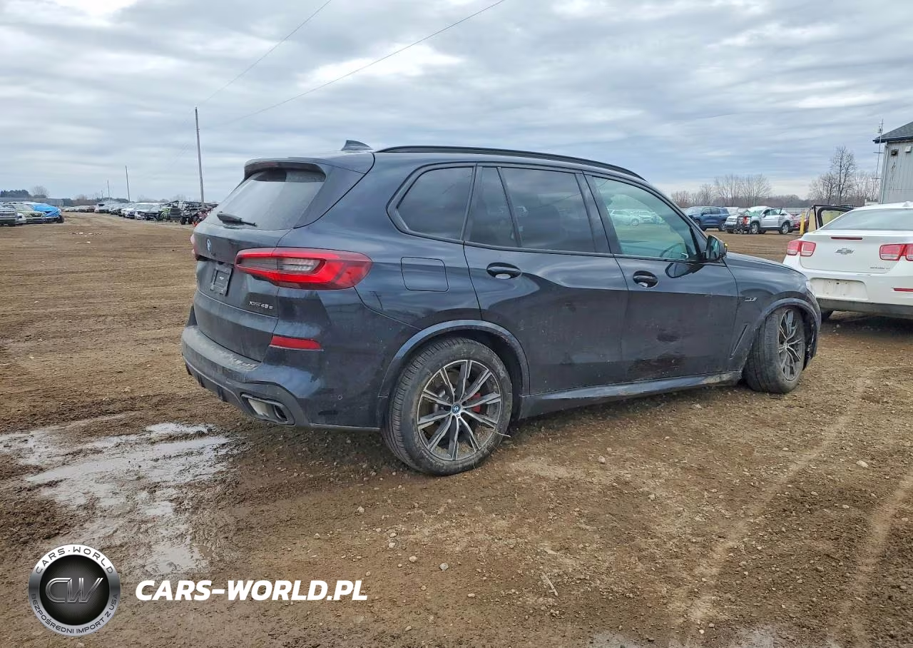 2023 BMW X5 VIN:5UXTA6C06P9P23123 - 3