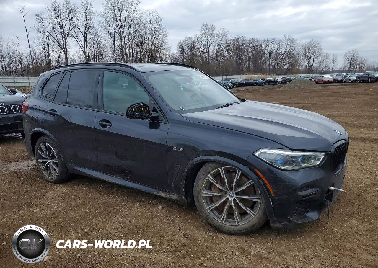2023 BMW X5 VIN:5UXTA6C06P9P23123 - 4