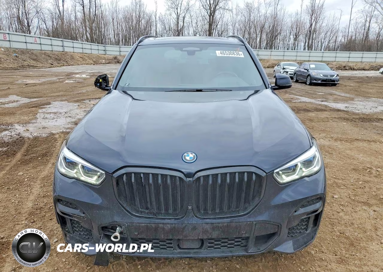 2023 BMW X5 VIN:5UXTA6C06P9P23123 - 5