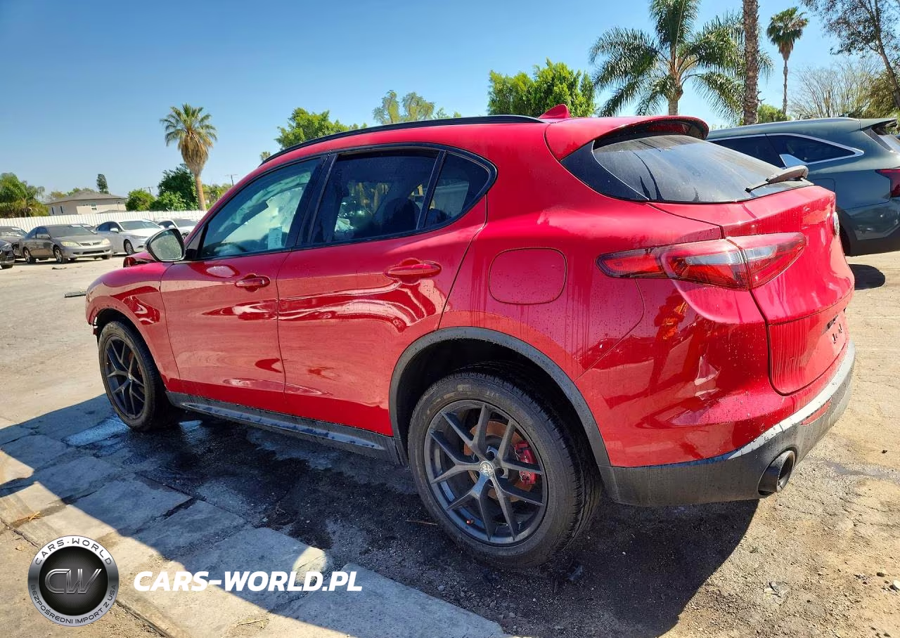 2019 Alfa Romeo Stelvio VIN:ZASPAJAN8K7C69358 - 2