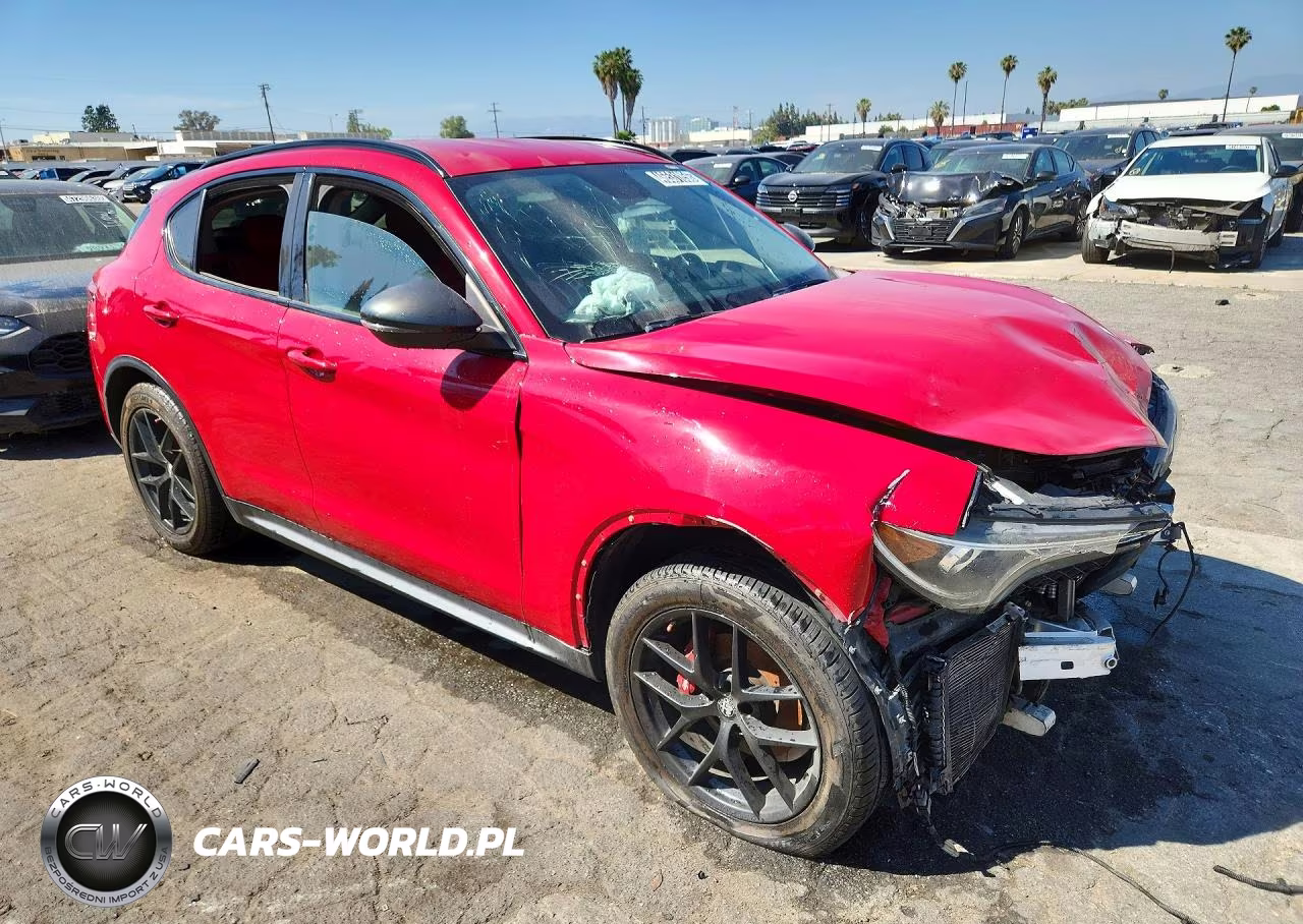 2019 Alfa Romeo Stelvio VIN:ZASPAJAN8K7C69358 - 4