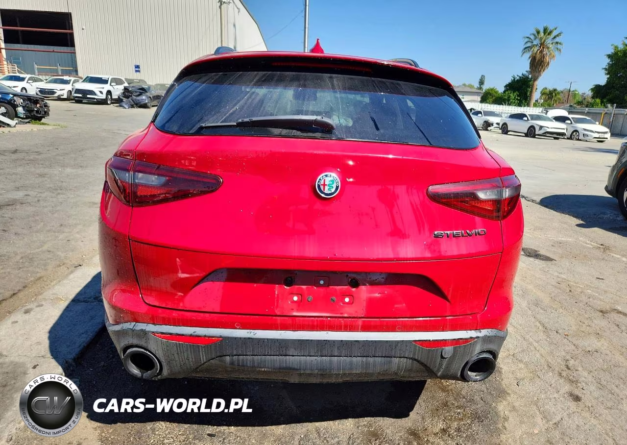 2019 Alfa Romeo Stelvio VIN:ZASPAJAN8K7C69358 - 6