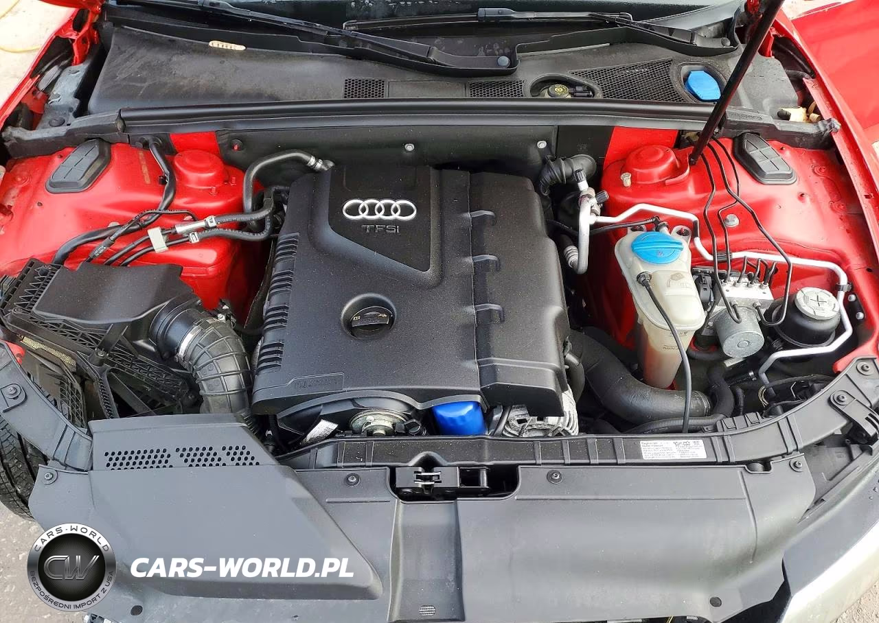 2011 Audi A5 Premium Plus VIN:WAULFAFH0BN013039 - 11