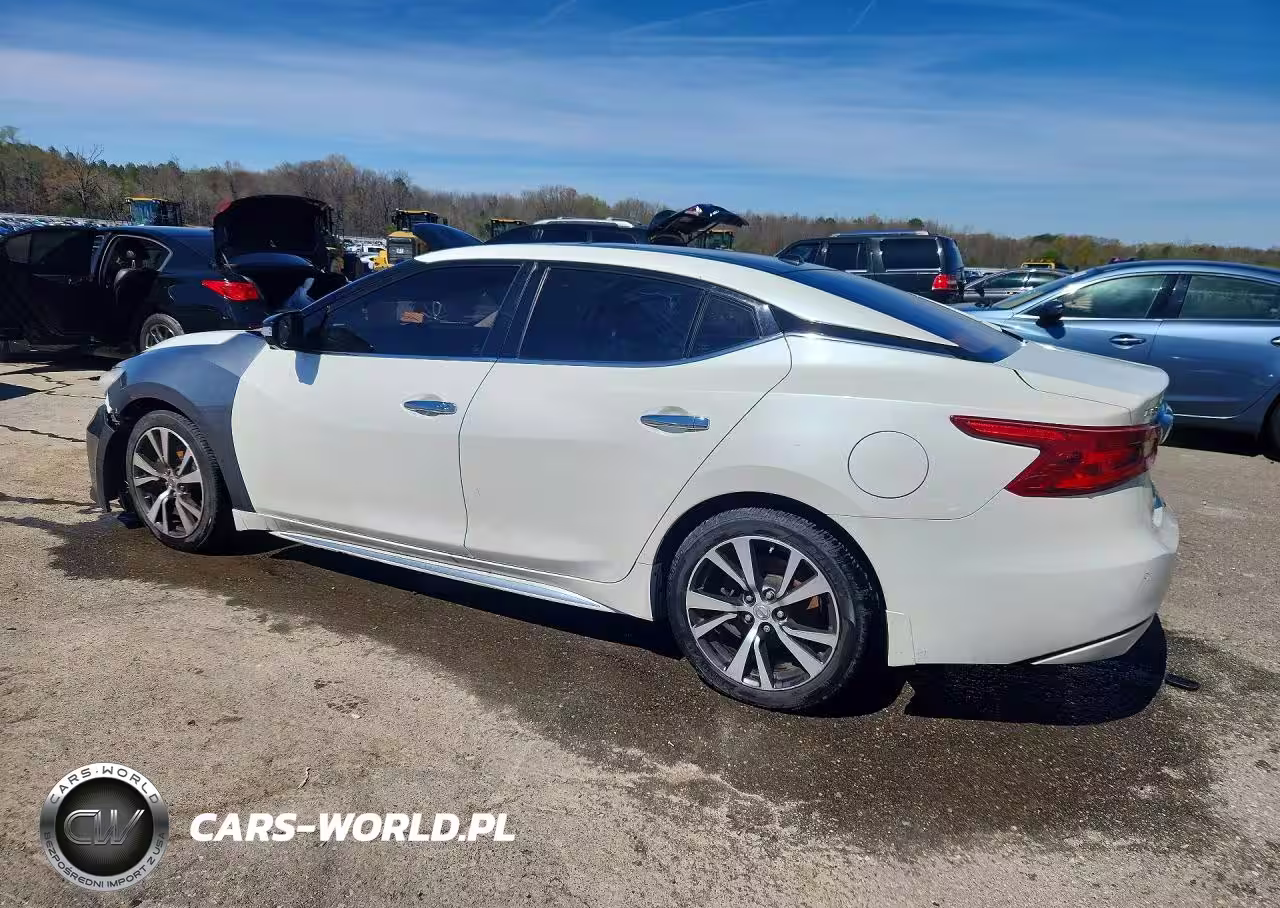 2016 Nissan Maxima Platinum VIN:1N4AA6AP8GC906041 - 2