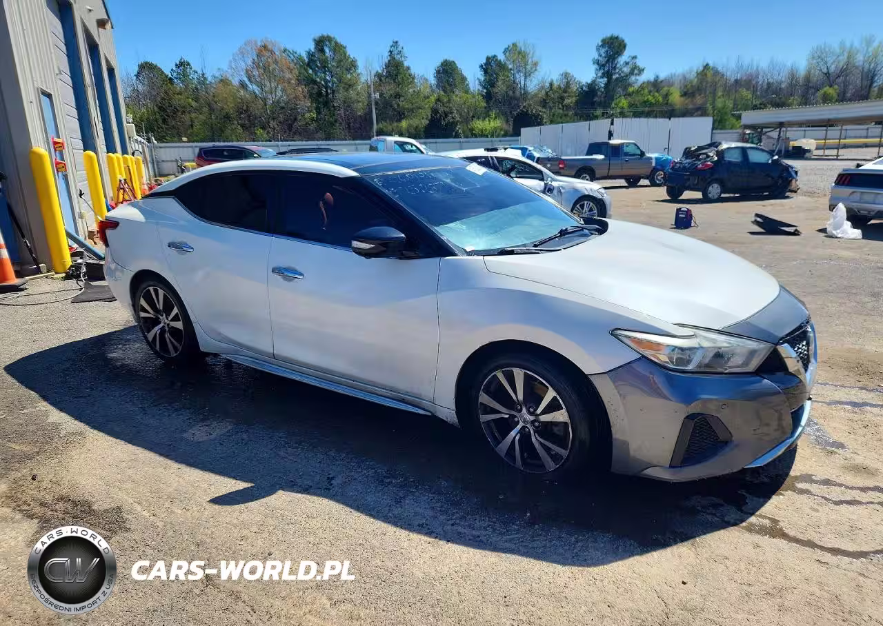 2016 Nissan Maxima Platinum VIN:1N4AA6AP8GC906041 - 4