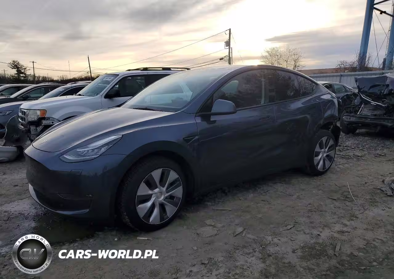 2023 Tesla Model Y Rwd