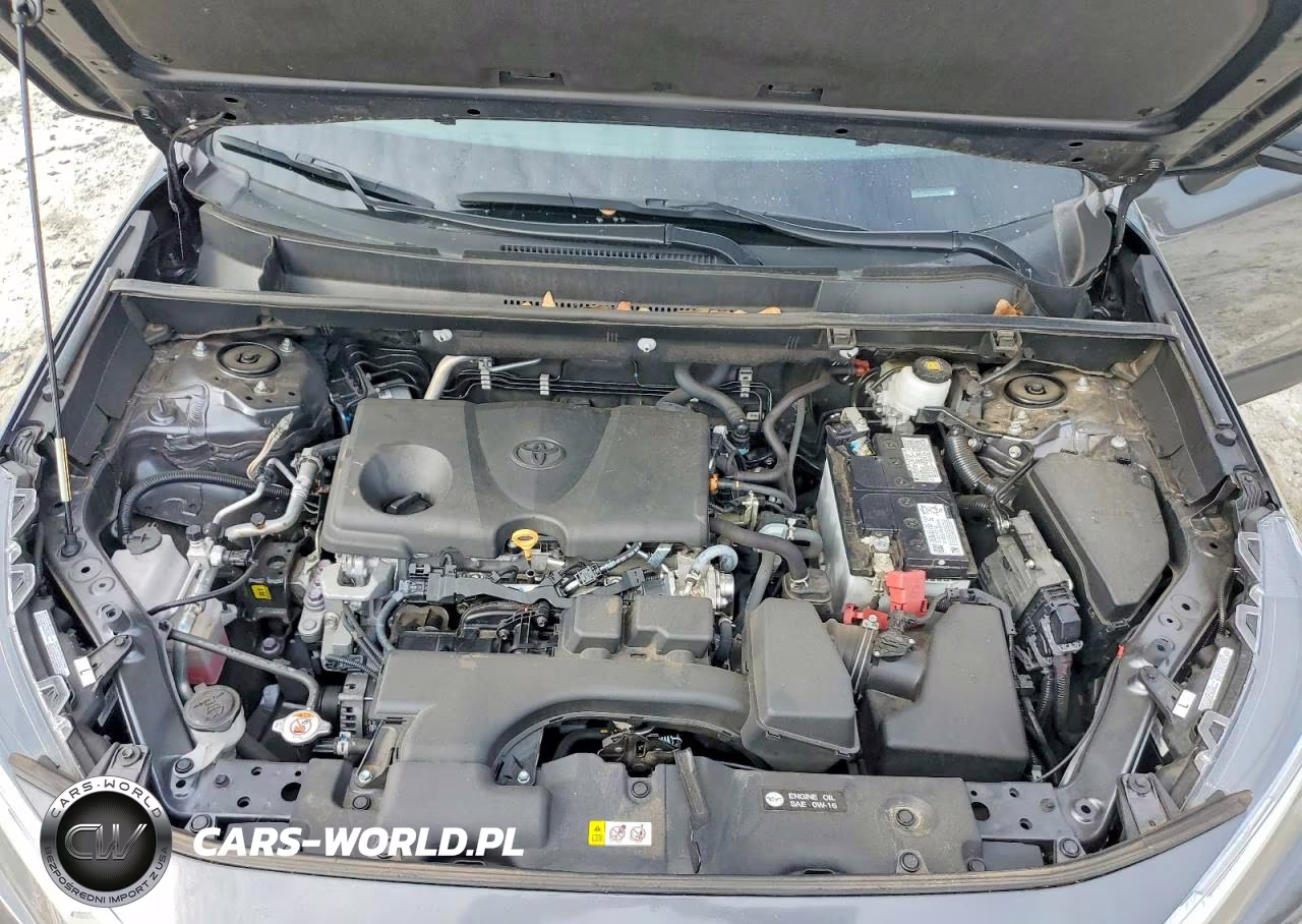 2023 Toyota Rav4 Xle Premium VIN:2T3C1RFV3PC244377 - 12
