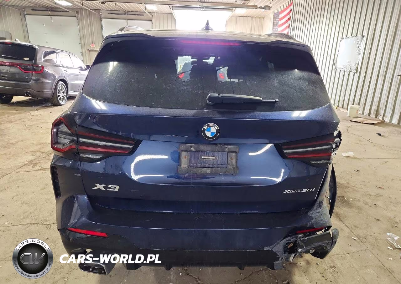 2022 BMW X3 xDrive30I VIN:5UX53DP08N9N39431 - 6