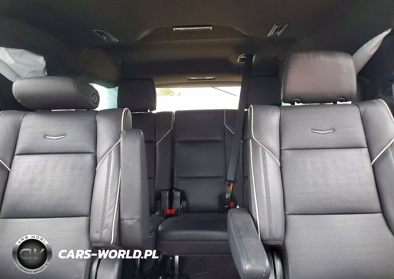 2023 Cadillac Escalade Esv Premium Luxury VIN:1GYS4KKL5PR465759 - 10