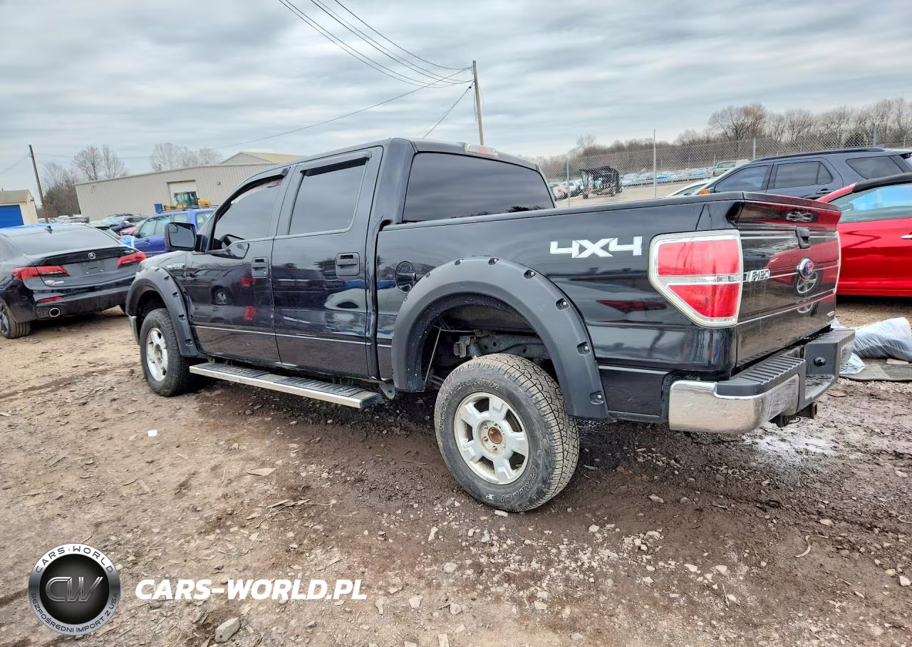 2013 Ford F150 Supercrew VIN:1FTFW1EF1DFD29319 - 2