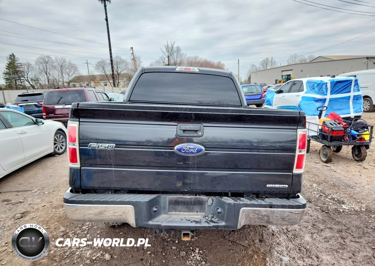 2013 Ford F150 Supercrew VIN:1FTFW1EF1DFD29319 - 6