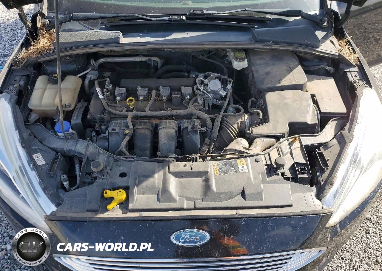 2018 Ford Focus Titanium VIN:1FADP3J21JL283321 - 11