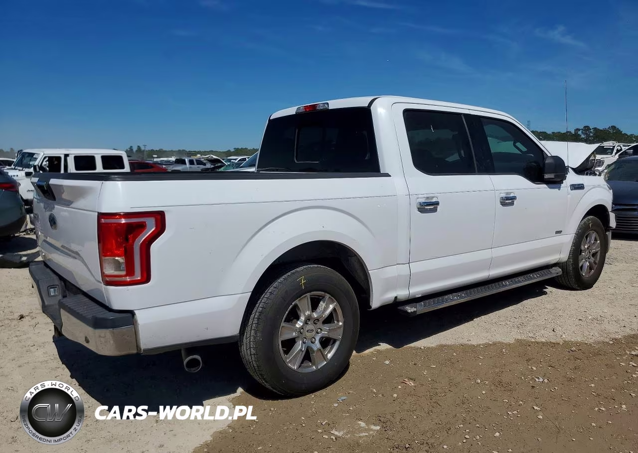 2015 Ford F150 Supercrew VIN:1FTEW1CP5FKD65516 - 3