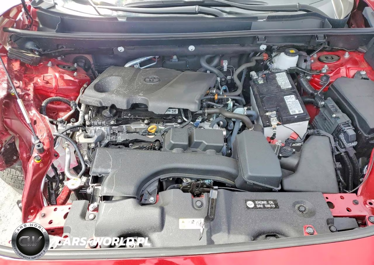 2025 Toyota Rav4 Xle VIN:2T3W1RFVXSW435007 - 12