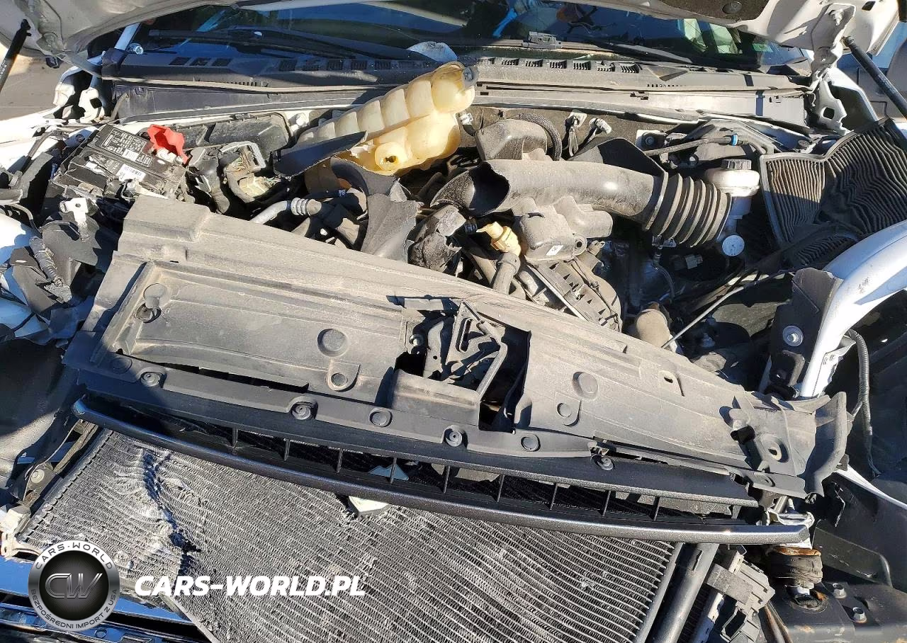 2019 Ford F150 Supercrew VIN:1FTEW1E55KFD51503 - 11