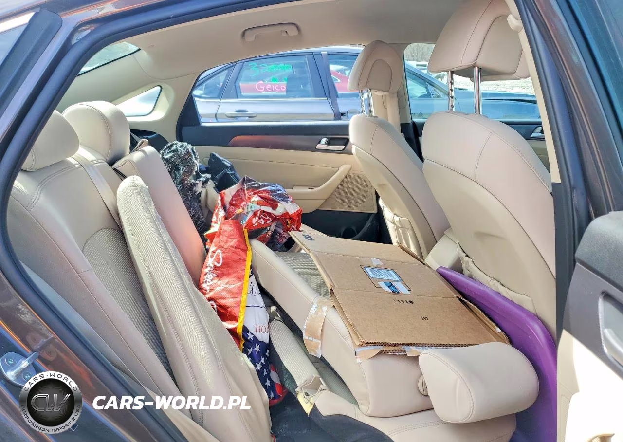 2016 Hyundai Sonata Sport VIN:5NPE34AF1GH282685 - 10