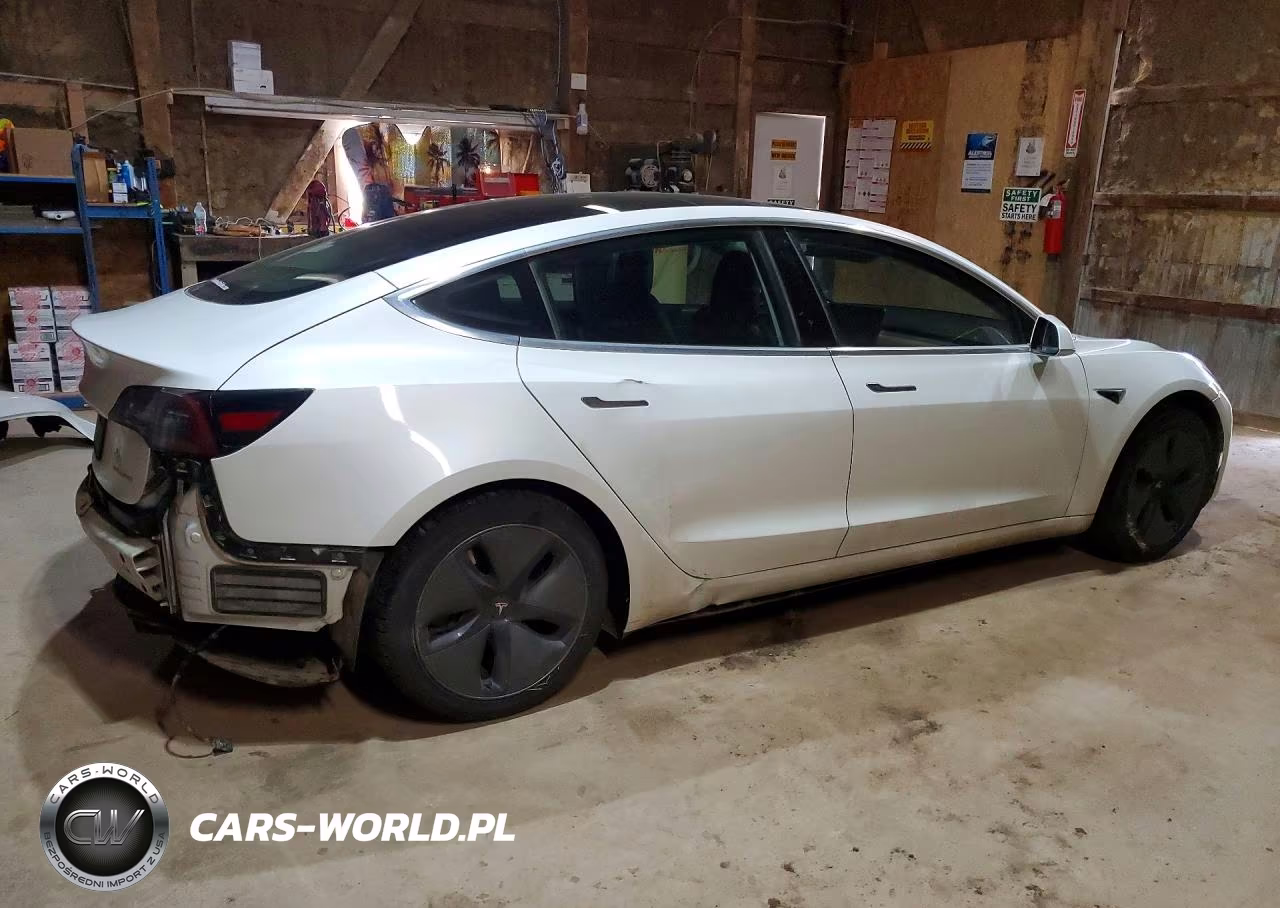 2020 Tesla Model 3 VIN:5YJ3E1EB7LF665613 - 3