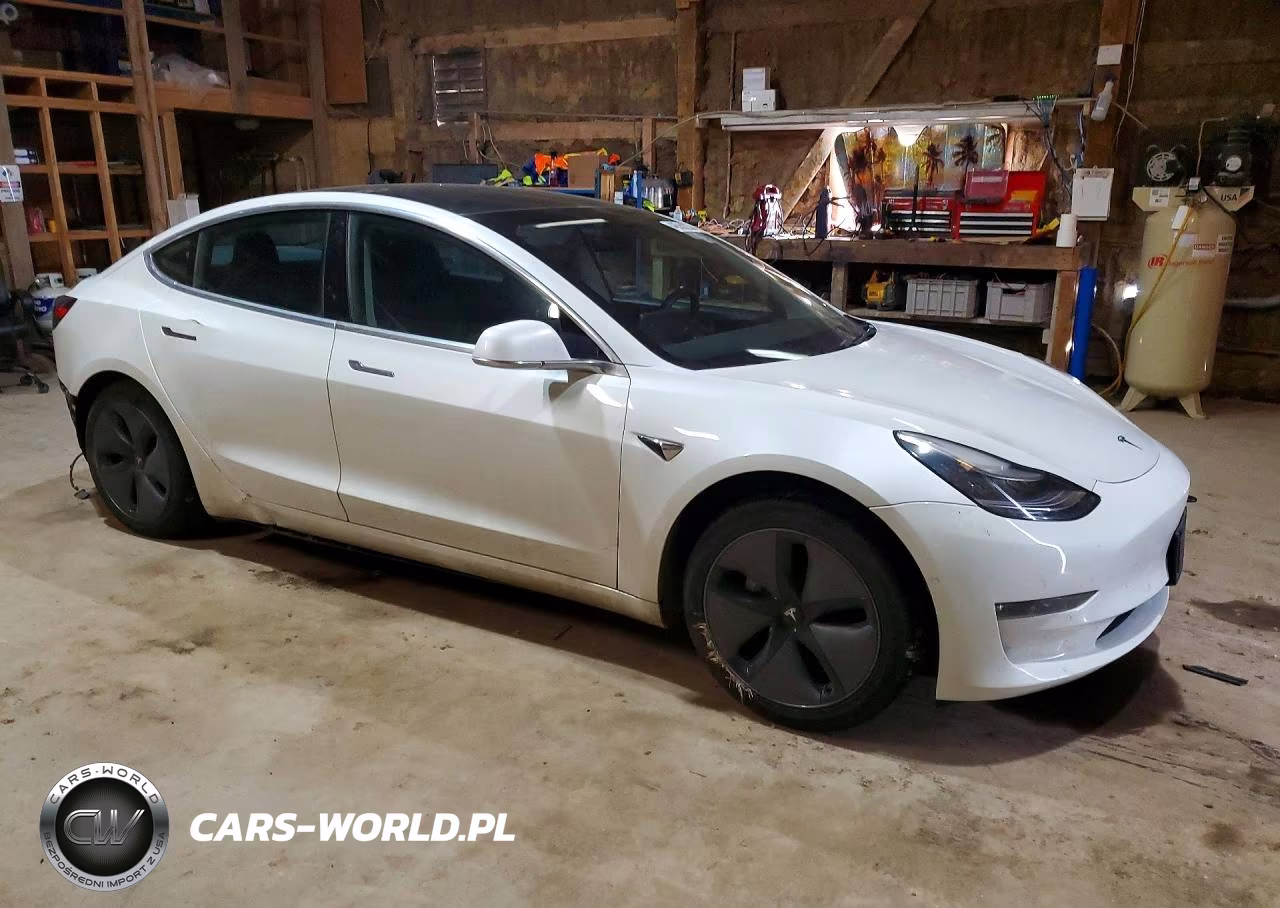 2020 Tesla Model 3 VIN:5YJ3E1EB7LF665613 - 4