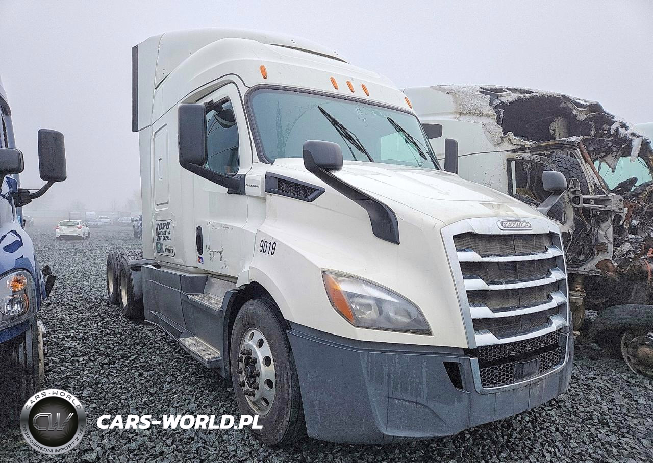2020 Freigliner Cascadia 116